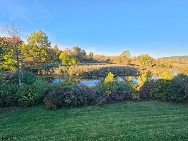 view of yard with a water view