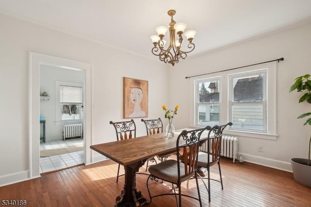 dining room featuring a healthy amount of sunlight, radiator heating unit, and wood-type flooring