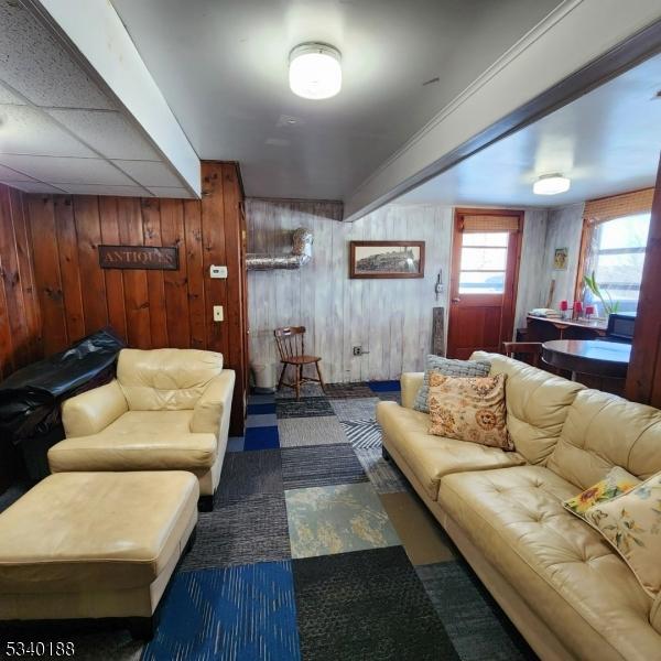 living area with wood walls