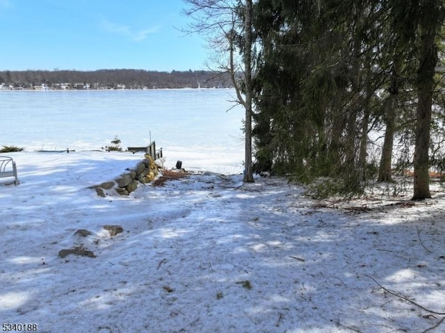 view of yard layered in snow