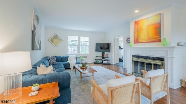 75 Crest Dr, South Orange Village Twp, NJ 07079 - living area with wood finished floors, a premium fireplace, and recessed lighting