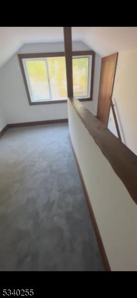 additional living space with lofted ceiling, baseboards, and carpet floors