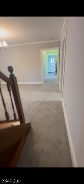 corridor with carpet floors, baseboards, and ornamental molding