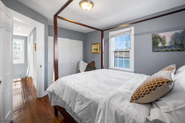 bedroom with dark wood finished floors, multiple windows, and a closet