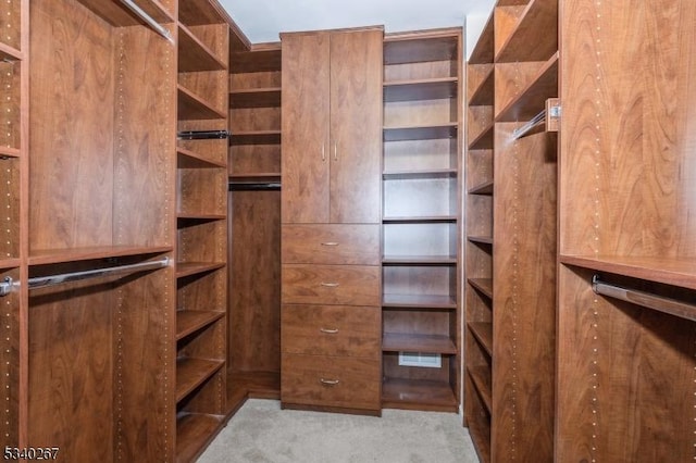 walk in closet with carpet flooring