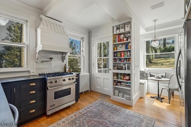 kitchen with light wood-style flooring, radiator heating unit, dark cabinets, and appliances with stainless steel finishes