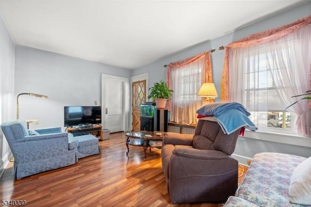 living area featuring wood finished floors