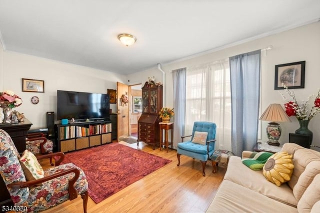 living area featuring wood finished floors