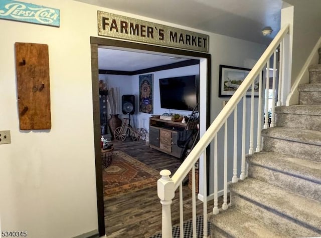 stairway featuring wood finished floors