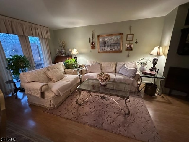 living room with wood finished floors