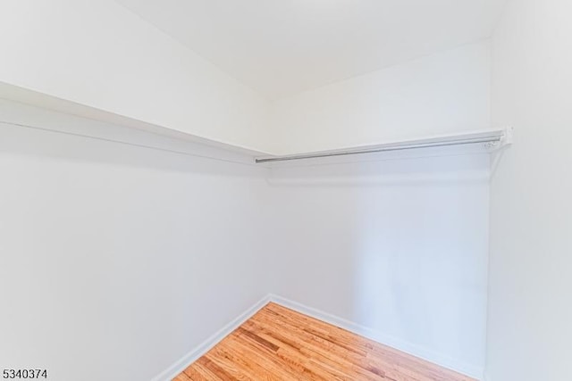 spacious closet featuring wood finished floors