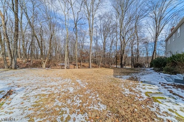 view of yard covered in snow