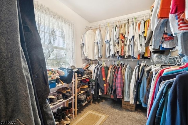 spacious closet featuring carpet floors