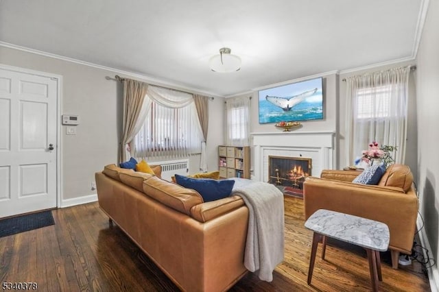 living area featuring baseboards, dark wood-style flooring, a fireplace, and crown molding