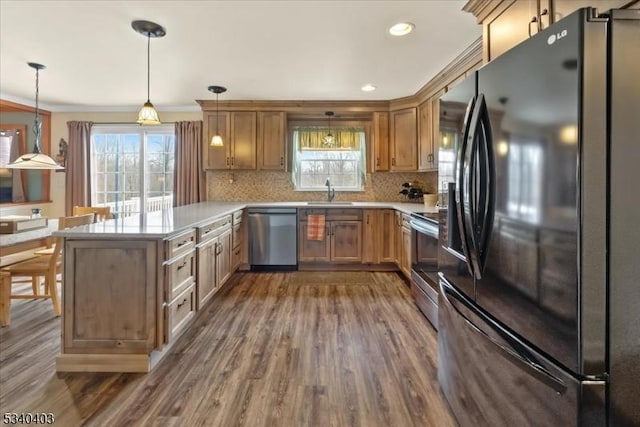 kitchen with a peninsula, a healthy amount of sunlight, appliances with stainless steel finishes, and dark wood finished floors