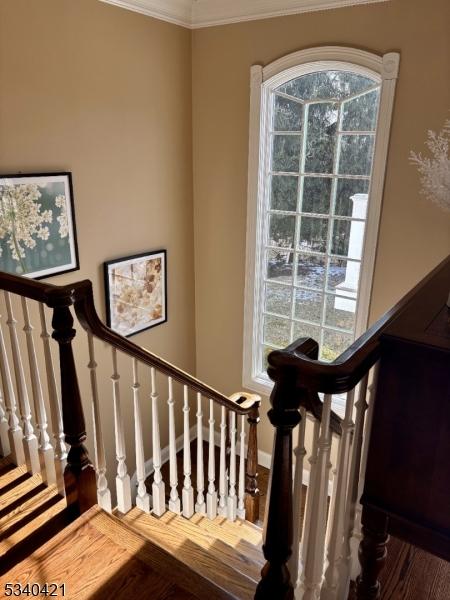 stairway with ornamental molding, a healthy amount of sunlight, baseboards, and wood finished floors