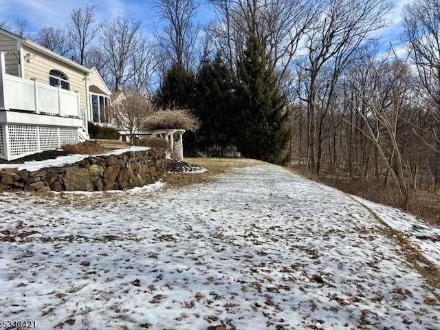 view of yard covered in snow