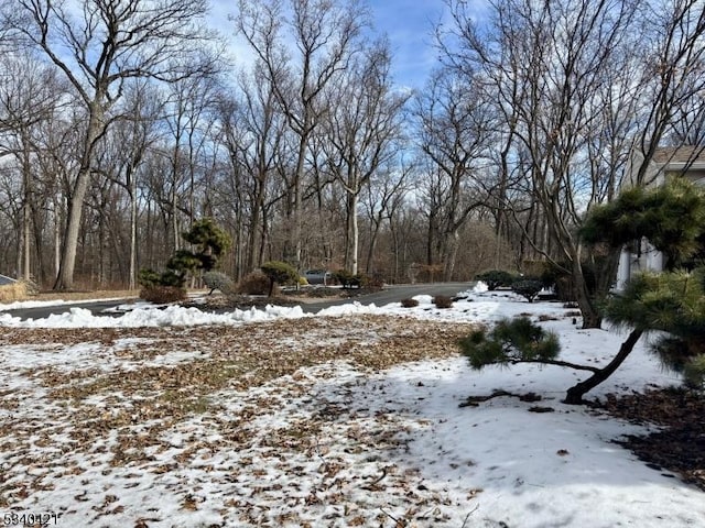 view of yard layered in snow