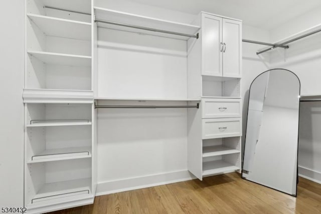 spacious closet featuring light wood-style floors