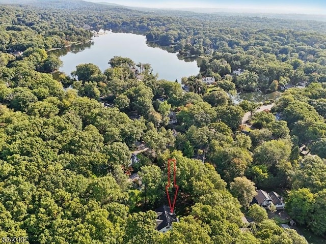 bird's eye view featuring a water view and a forest view