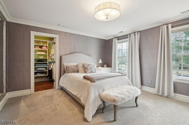 carpeted bedroom with visible vents, multiple windows, crown molding, and a walk in closet