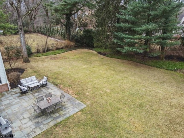 view of yard with a patio and an outdoor hangout area