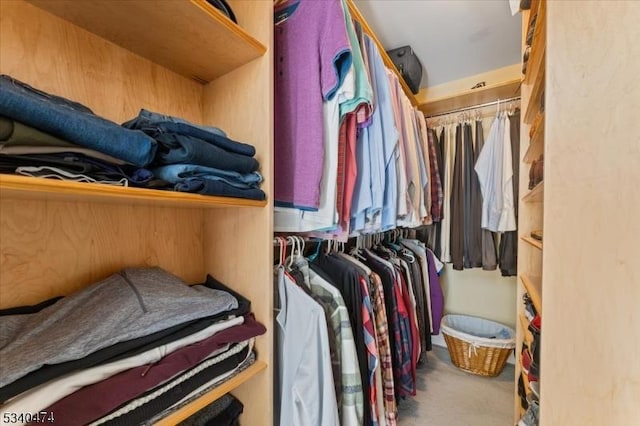 walk in closet with carpet floors