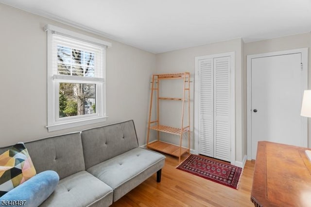 living area featuring wood finished floors