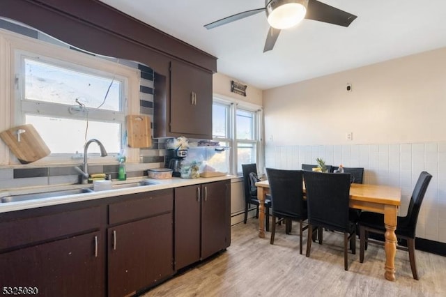 kitchen featuring dark brown cabinetry, a wainscoted wall, light wood-style flooring, light countertops, and a sink