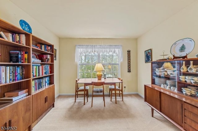 interior space with light carpet and baseboards