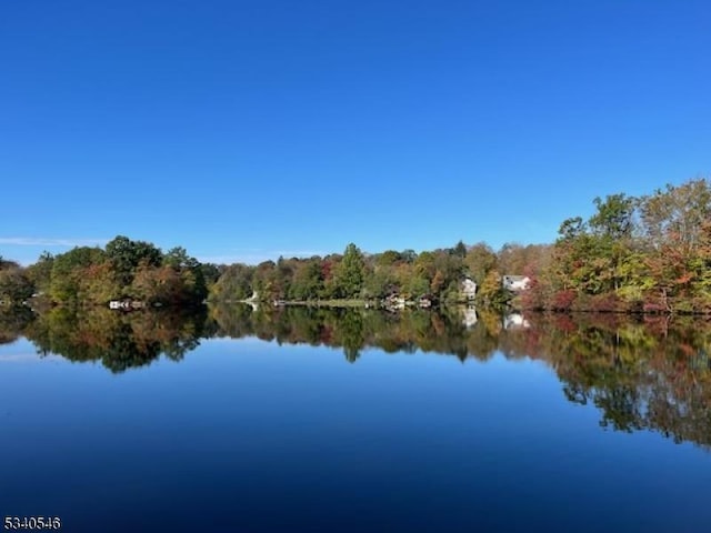 water view featuring a wooded view