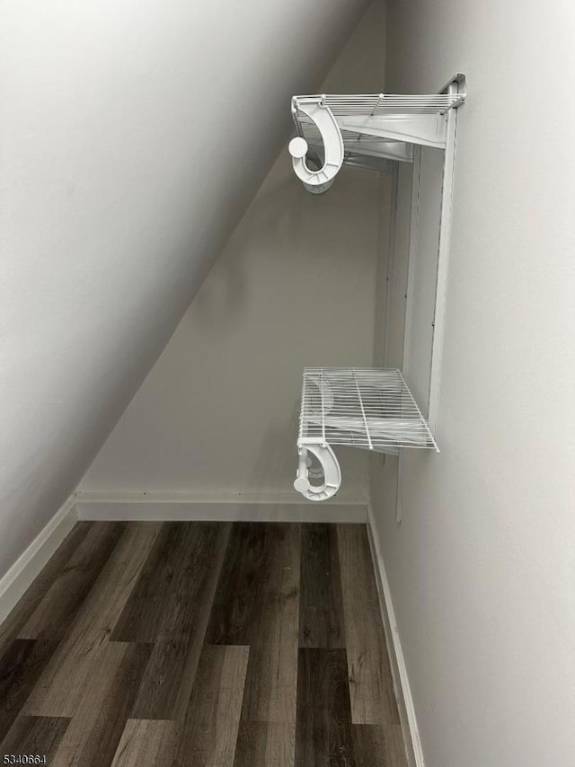 spacious closet featuring lofted ceiling and wood finished floors