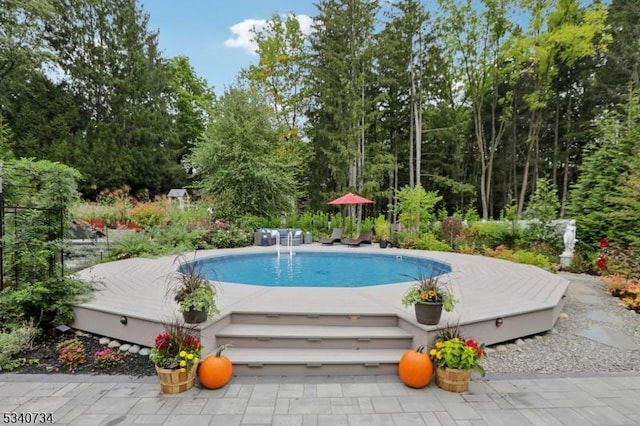 view of outdoor pool