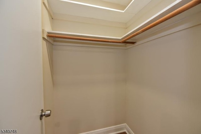 view of walk in closet