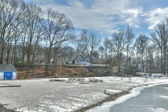 view of snowy yard