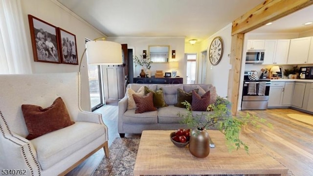 living room featuring light wood finished floors, ornamental molding, and a wealth of natural light