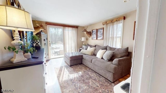 living room with light wood-type flooring