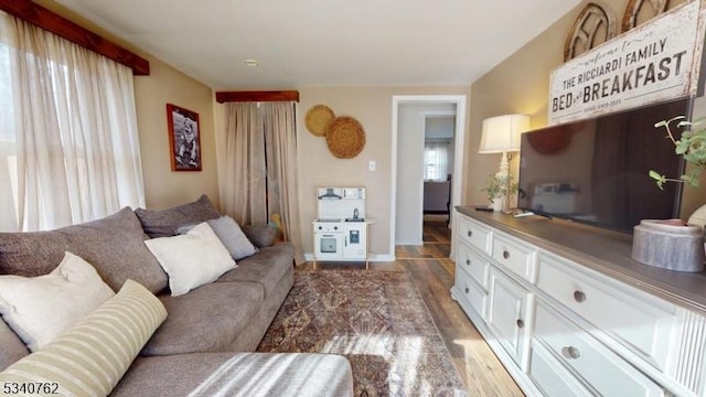 living room with wood finished floors