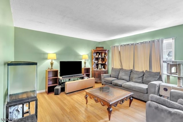 living area with a textured ceiling, baseboards, and wood finished floors