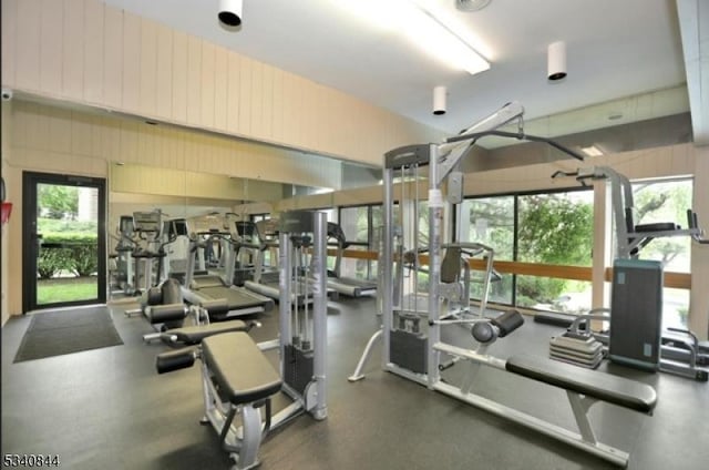 workout area featuring a healthy amount of sunlight