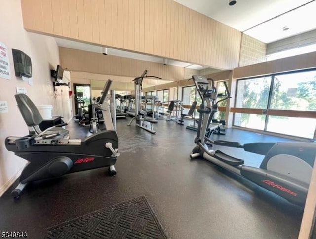 gym with plenty of natural light and a towering ceiling