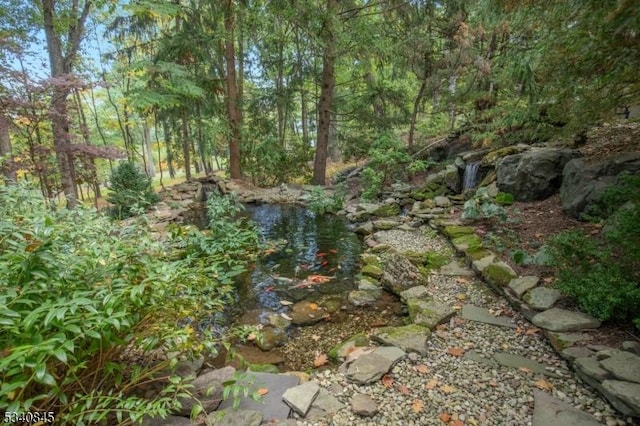 view of nature with a wooded view