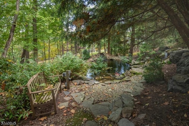 view of nature featuring a view of trees