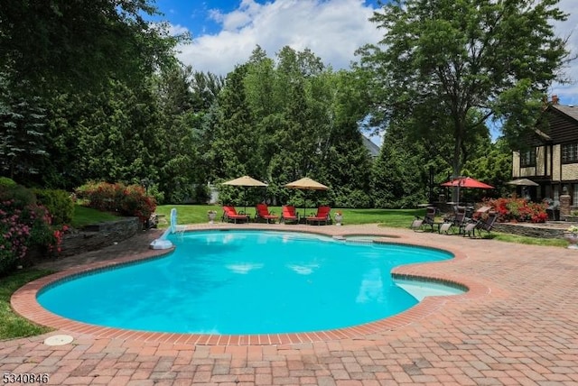 pool featuring a yard and a patio area