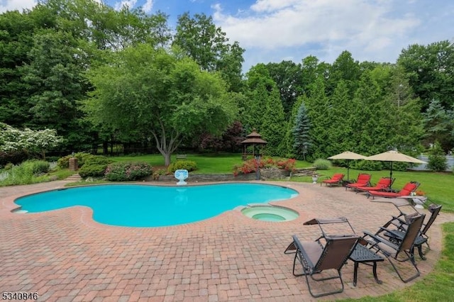 view of swimming pool featuring a patio area, a pool with connected hot tub, and a lawn