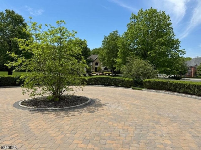 35 Geiger Ln, Warren Twp, NJ 07059 - view of community