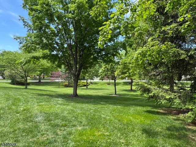 35 Geiger Ln, Warren Twp, NJ 07059 - view of grassy yard