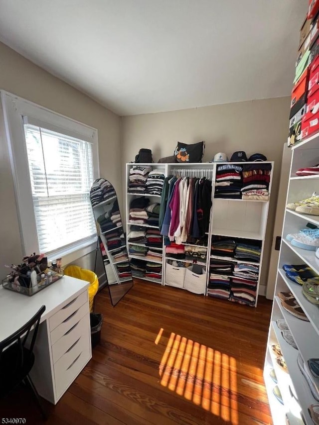 spacious closet featuring wood finished floors