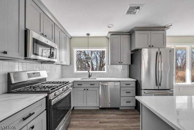 kitchen with visible vents, a sink, gray cabinetry, stainless steel appliances, and a wealth of natural light