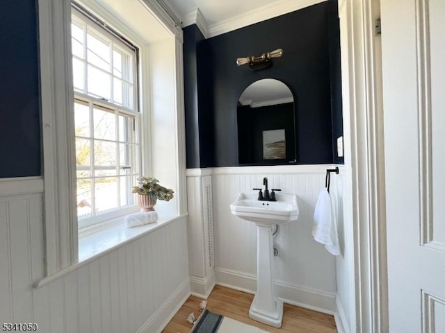 bathroom with crown molding, wood finished floors, and a wainscoted wall